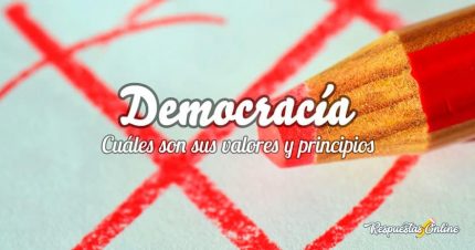Principios y valores de la democracia